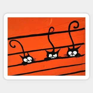 THREE BLACK CATS - between the ORANGE LINES Sticker